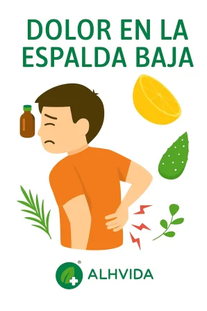 Icono del artículo sobre el dolor en la espalda baja