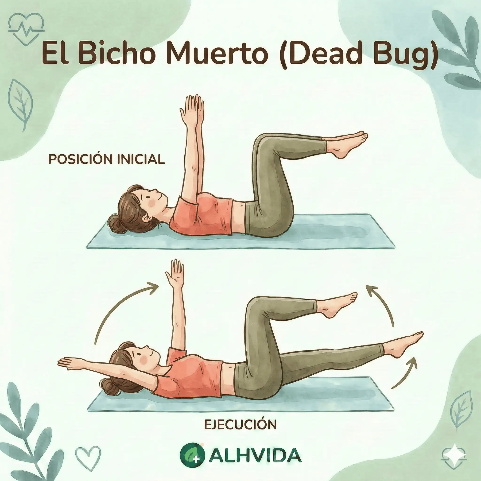 Ejercicio El Bicho Muerto (Dead Bug)